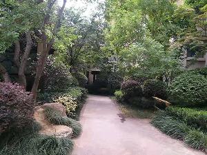 小区绿化